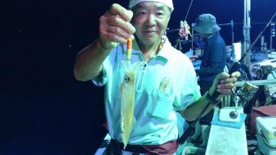 マイカ(ケンサキイカ)