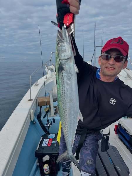 サゴシ(サワラ)