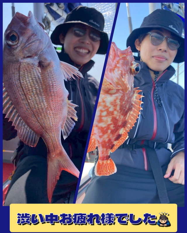 マダイ・アコウ(キジハタ)