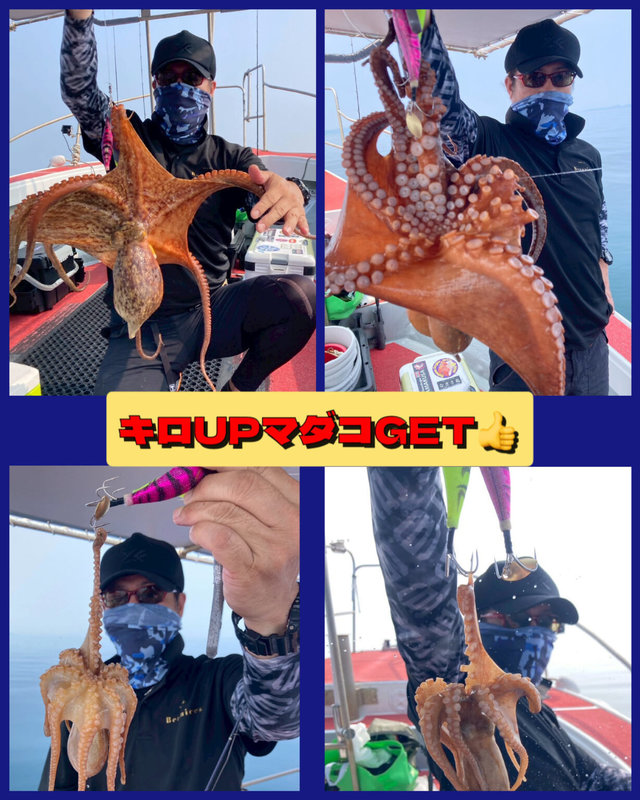 タコ(マダコ)・イーダコ(イイダコ)