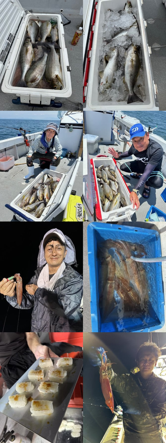 イサキ・イカ(ヤリイカ)