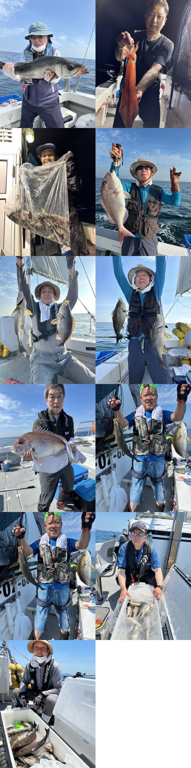 タイ(マダイ)・スズキ・イサキ・イカ(ヤリイカ)