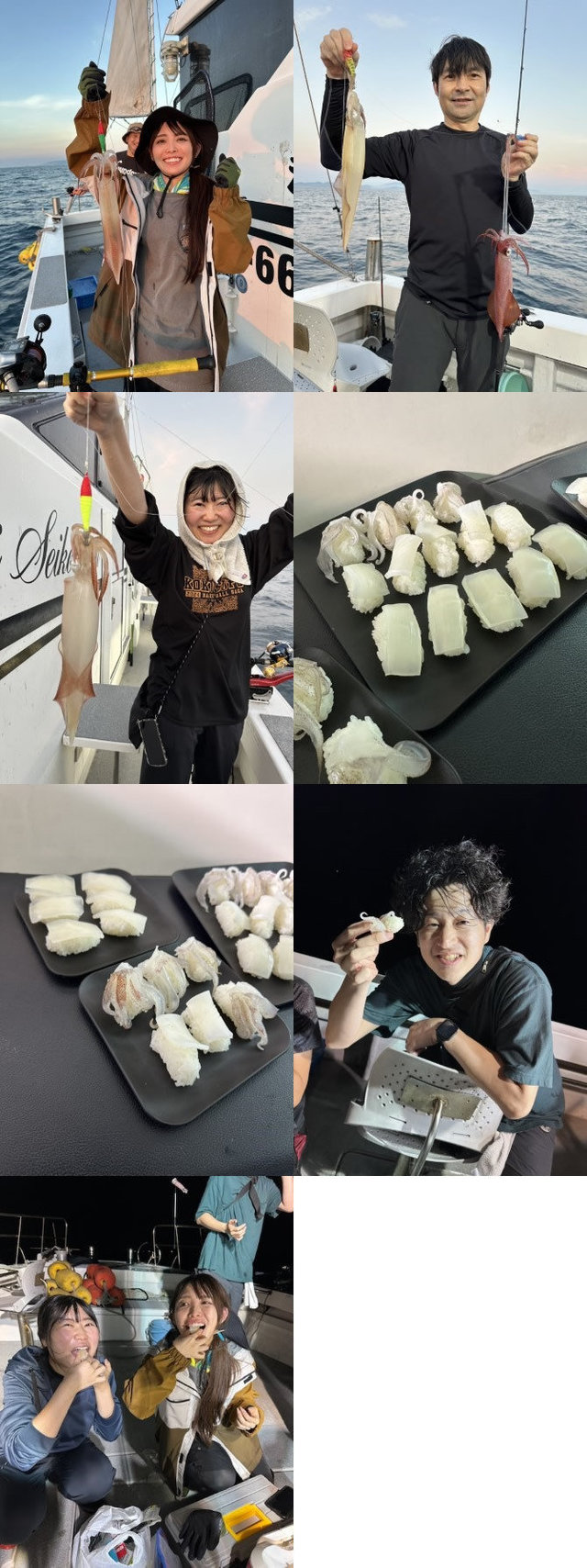 イカ(ヤリイカ)