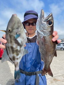 クロムツ・ウマヅラハギ