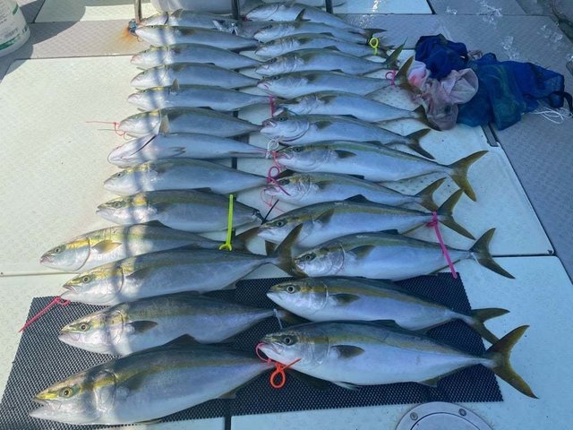 ハマチ(ブリ)・タコ(マダコ)