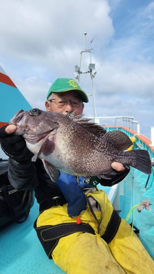 マゾイ(キツネメバル)