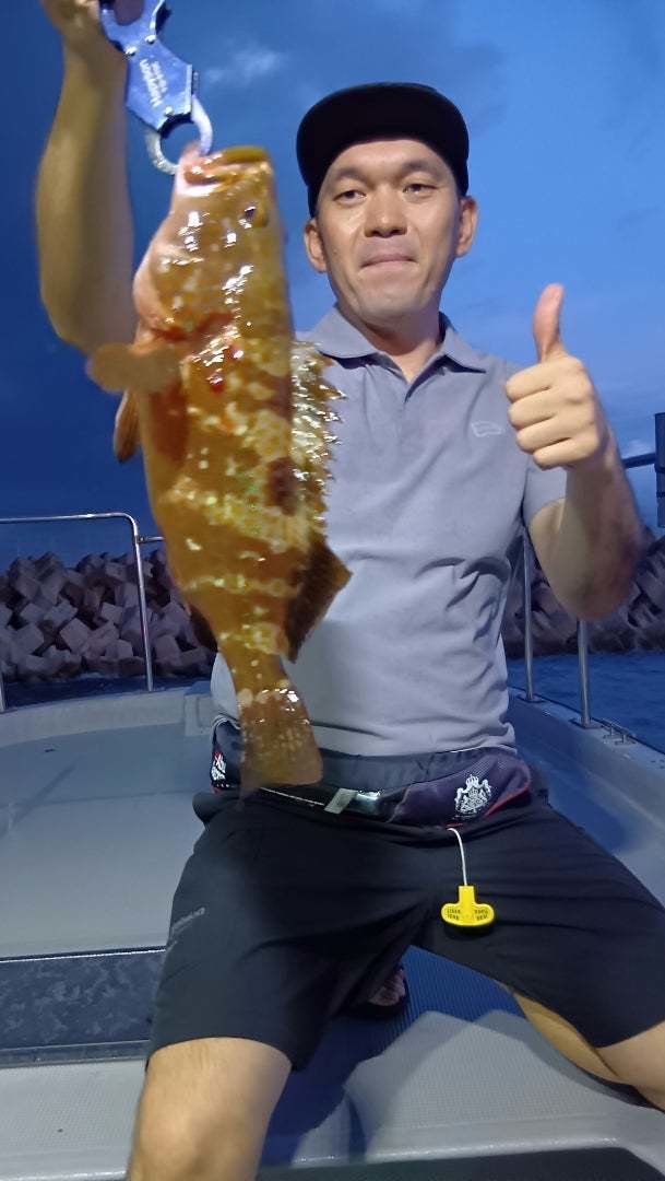 アコウ(キジハタ)