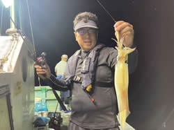 アカイカ(ケンサキイカ)