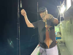 アカイカ(ケンサキイカ)