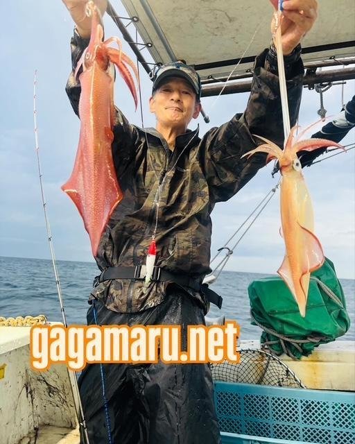 ケンサキイカ・ヤリイカ