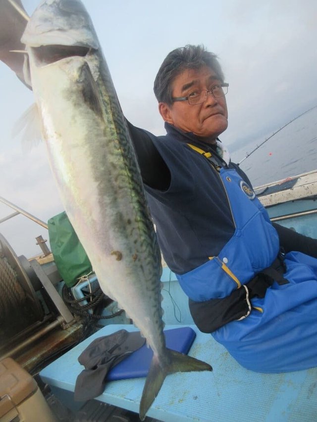 サバ(ゴマサバ)