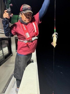 アカイカ(ケンサキイカ)