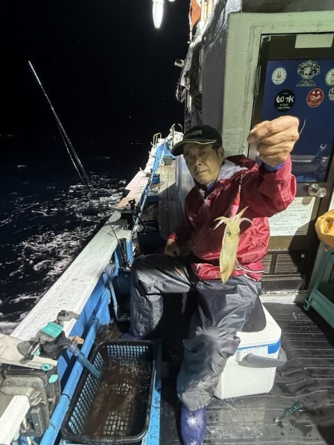 マイカ(ケンサキイカ)