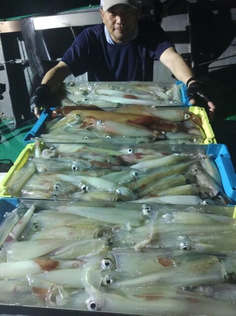 イカ(ヤリイカ)