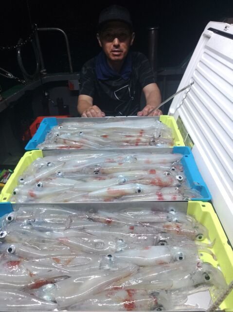 イカ(ヤリイカ)