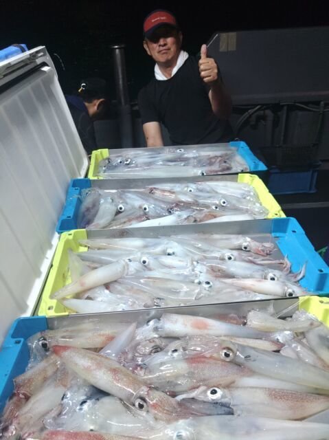 イカ(ヤリイカ)