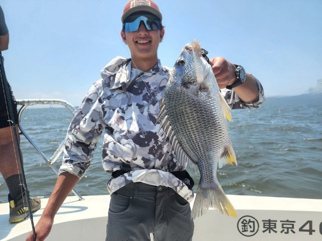 キビレ(キチヌ)