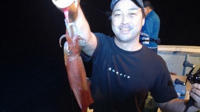 マイカ(ケンサキイカ)