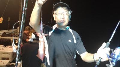 マイカ(ケンサキイカ)