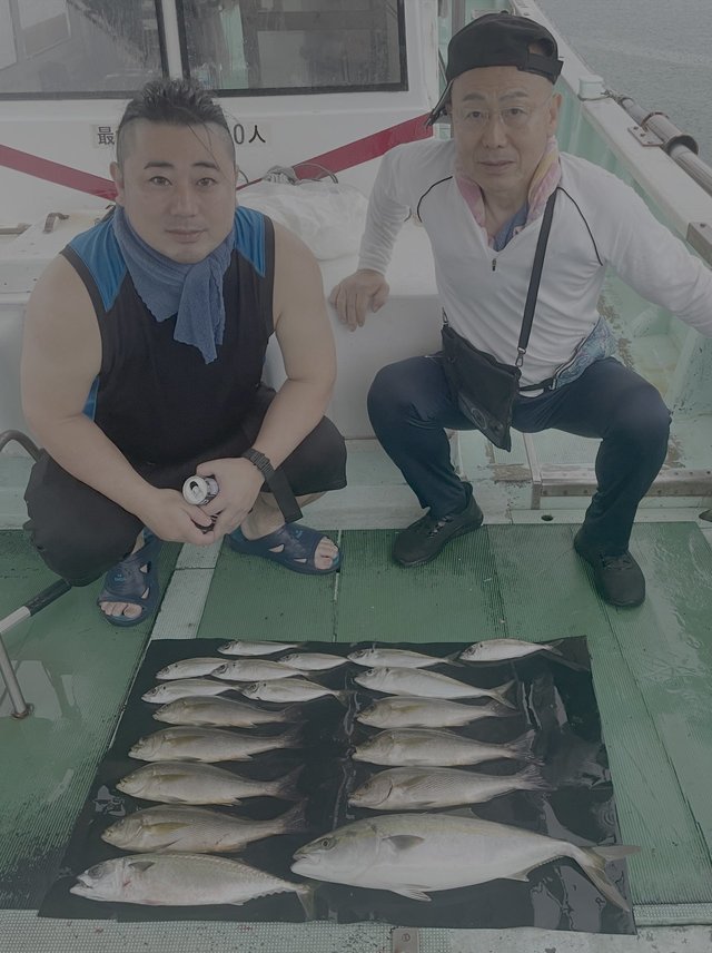 マアジ・メジロ(ブリ)・イサキ・マサバ