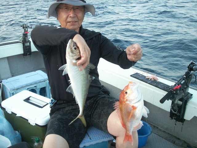 レンコ(キダイ)・マアジ