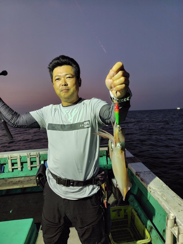 シロイカ(ケンサキイカ)