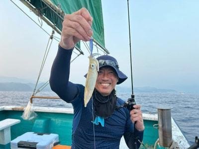 アカイカ(ケンサキイカ)