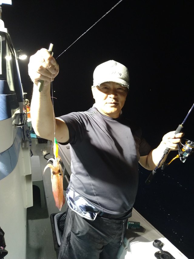 イカ(ケンサキイカ)