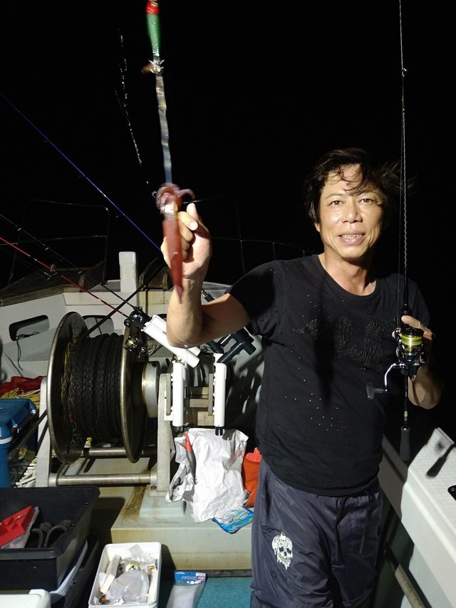 イカ(ケンサキイカ)