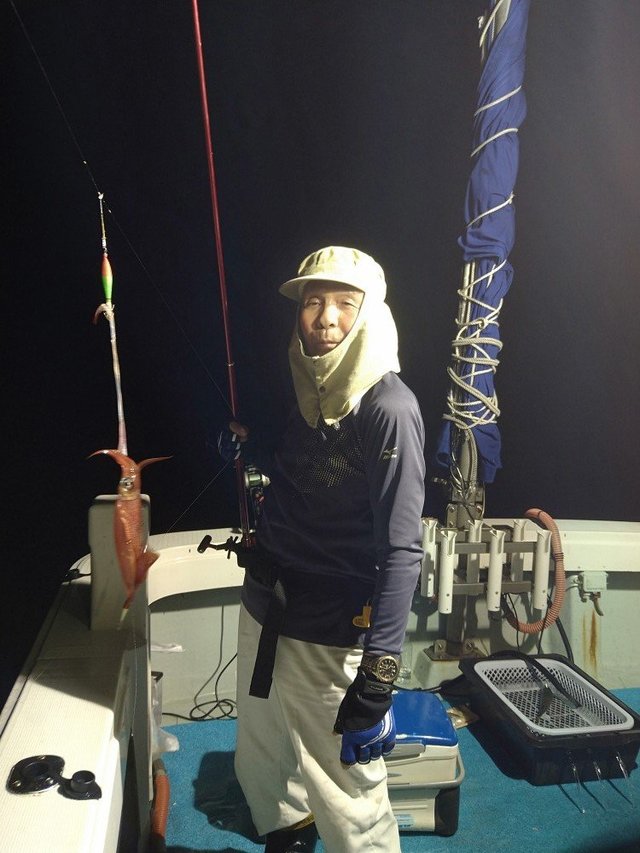 イカ(ケンサキイカ)