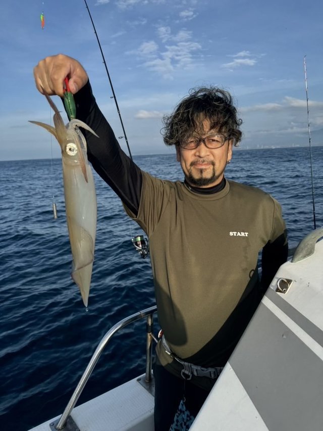 シロイカ(ケンサキイカ)