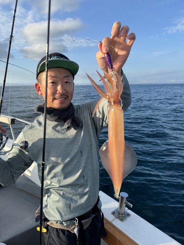 シロイカ(ケンサキイカ)