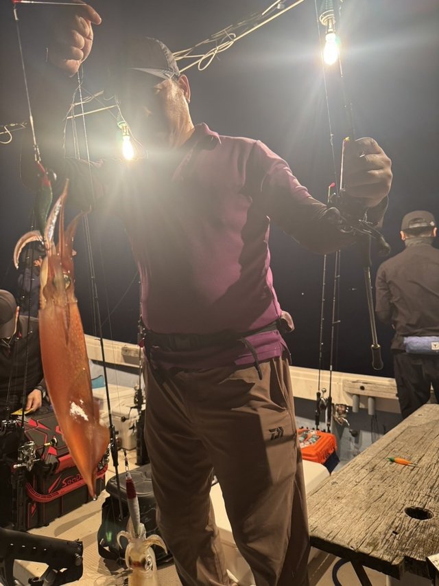 シロイカ(ケンサキイカ)