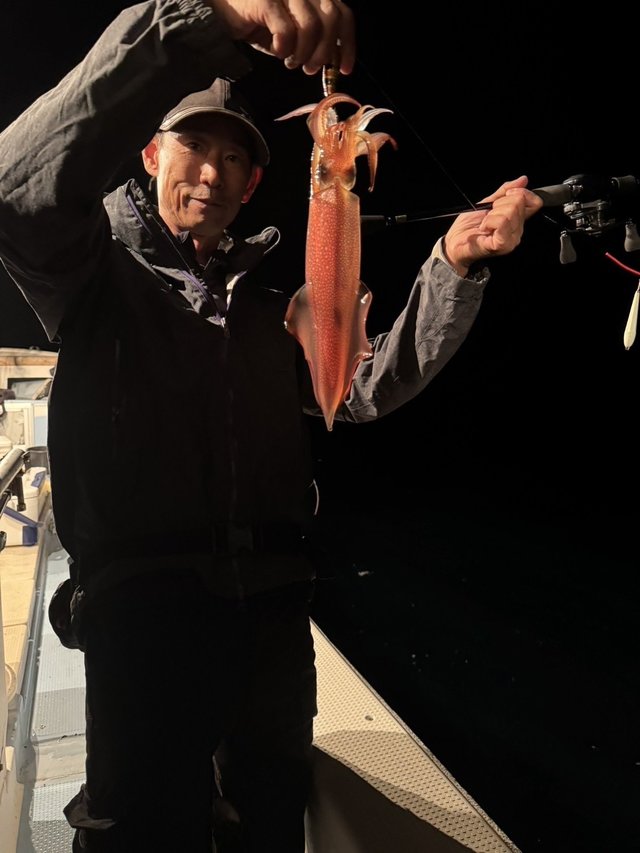 シロイカ(ケンサキイカ)