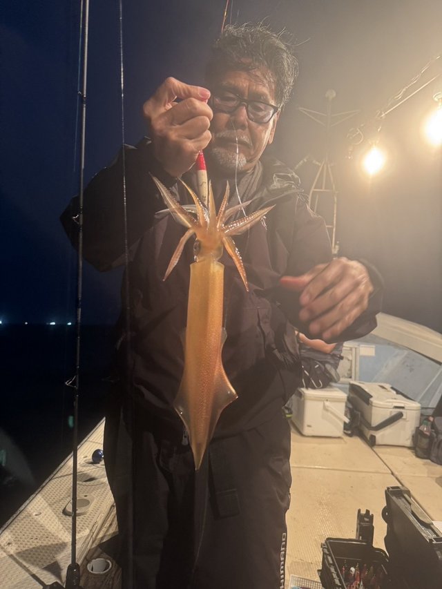 シロイカ(ケンサキイカ)