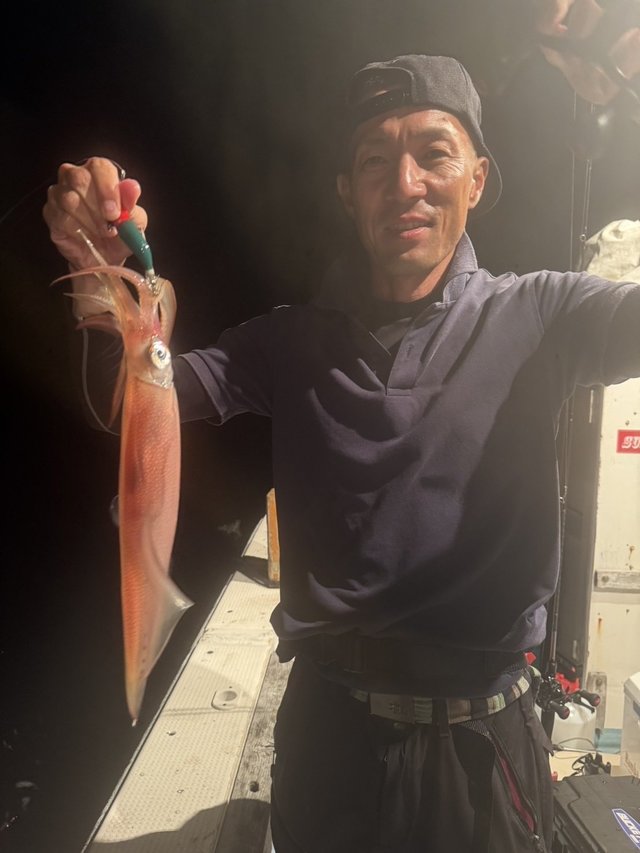 シロイカ(ケンサキイカ)