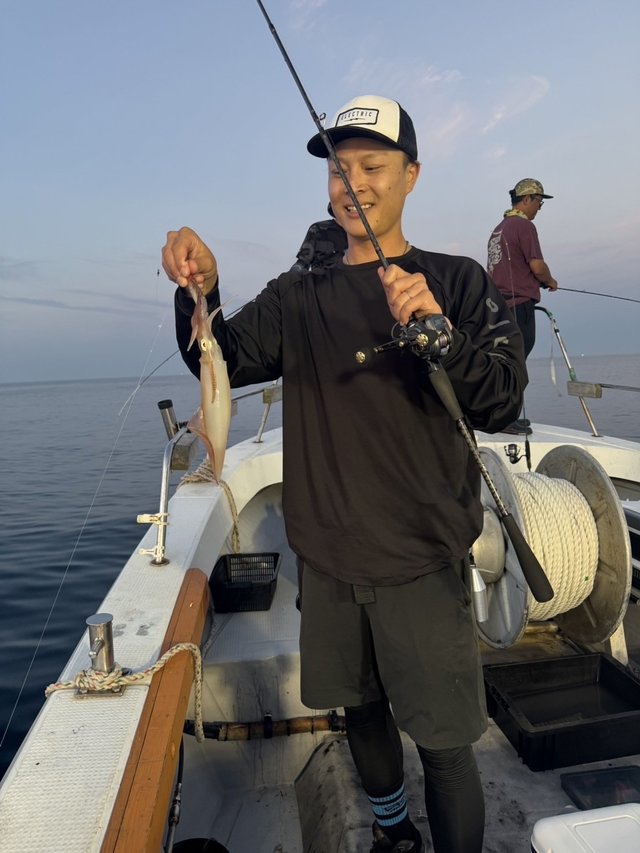 シロイカ(ケンサキイカ)