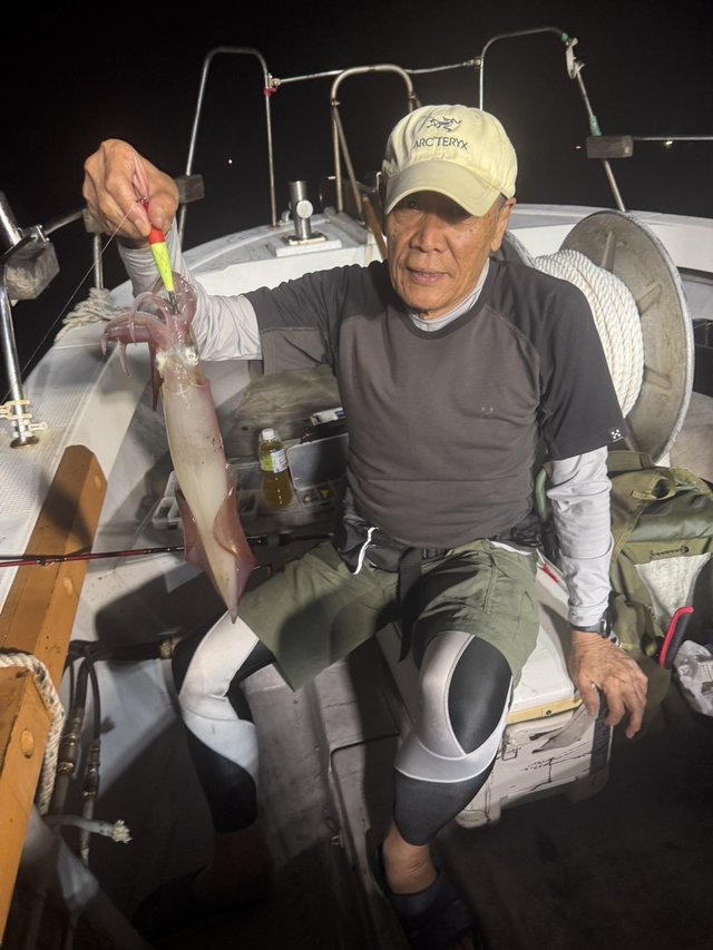 シロイカ(ケンサキイカ)