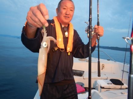 シロイカ(ケンサキイカ)