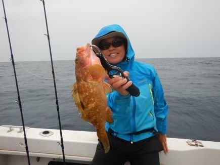 アコウ(キジハタ)