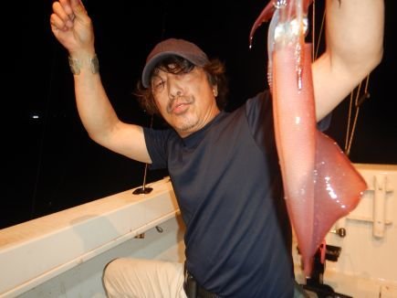 シロイカ(ケンサキイカ)