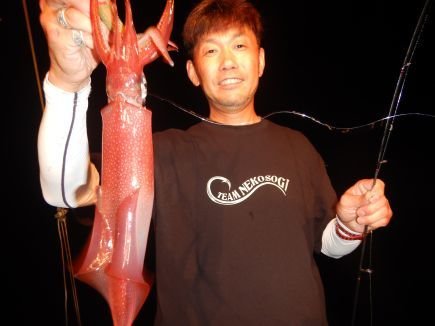 シロイカ(ケンサキイカ)