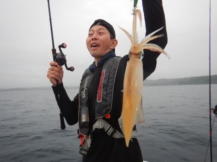 シロイカ(ケンサキイカ)