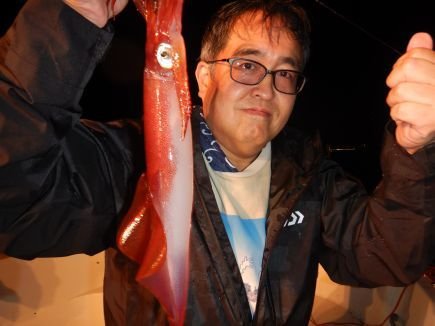 シロイカ(ケンサキイカ)