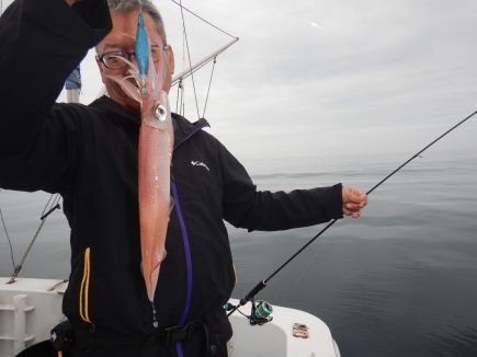 シロイカ(ケンサキイカ)