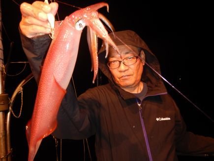 シロイカ(ケンサキイカ)