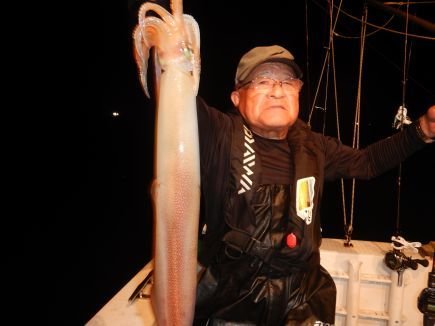 シロイカ(ケンサキイカ)