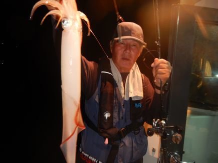 シロイカ(ケンサキイカ)