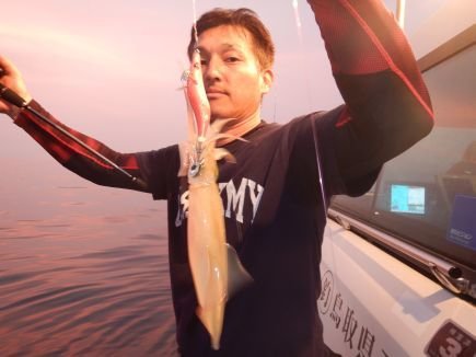 シロイカ(ケンサキイカ)