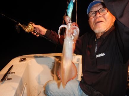 シロイカ(ケンサキイカ)